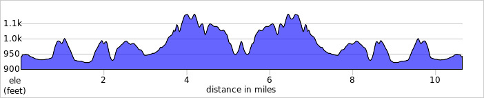 Sprint Elevation